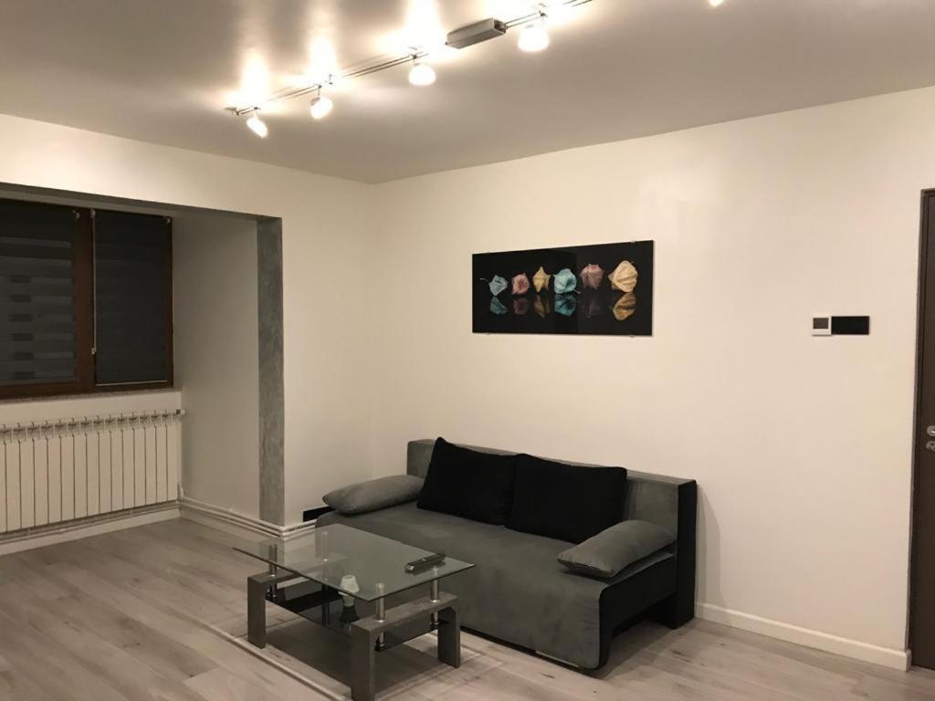 Elegant & Silver Luxury Apartament Крайова Екстериор снимка